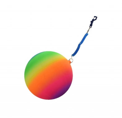 Neon Rainbow 10" ball with keychain