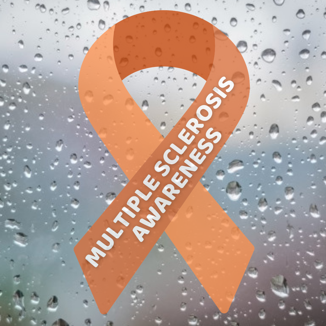 Multiple Sclerosis Car Sticker – Special Stars Foundation