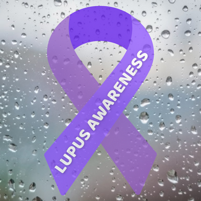 Lupus Awareness Ribbon Vinyl Car Sticker